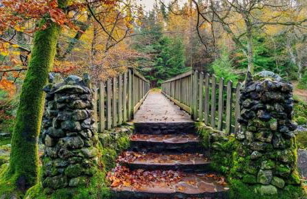 Oaktree Manor - BBQ, games rooms and pet friendly - Photo 34