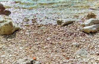 Apartment Lorena B4 by Interhome - Foto 25