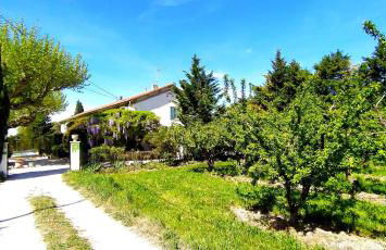 Mas de St-Andiol - Foto 19