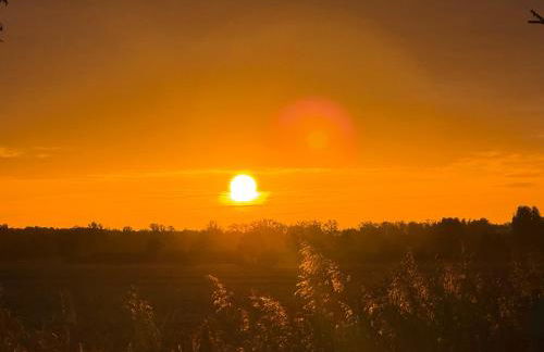 ECOVILLA - Natur pur - Foto 50