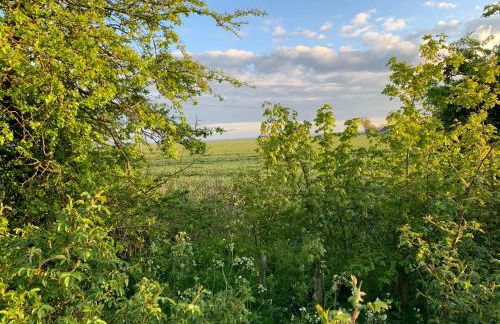 Cosy escape heated luxury pod with hot tub - Foto 41