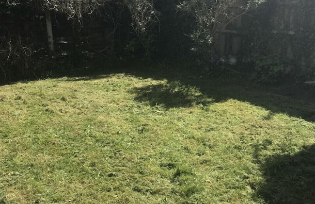 The Avenues - Foto 35