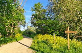 Dúplex Luxury Alfaro - Foto 44