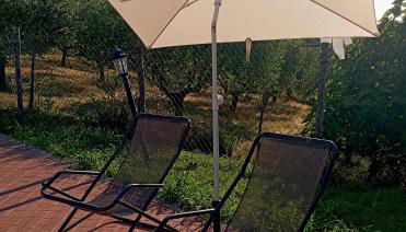 Il Giardino delle Erbe - Foto 2