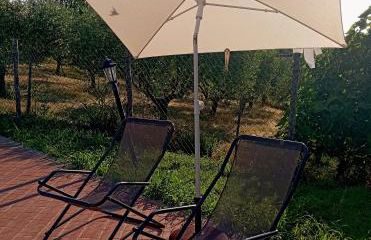 Il Giardino delle Erbe - Photo 2