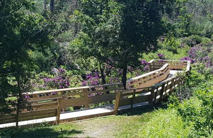 Casa da Mena - Casa de Campo no Caramulo - Foto 29