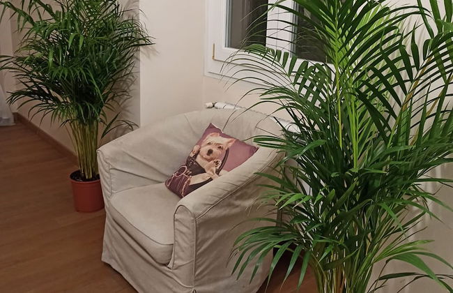 Paradise Rooms - Foto 18