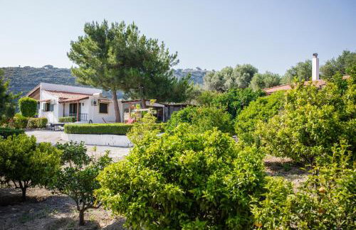 Villa Metochi - Foto 66