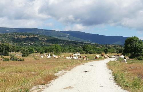 La Casita de Teléfonos - Foto 27