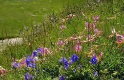 L' Aubisque - Foto 11