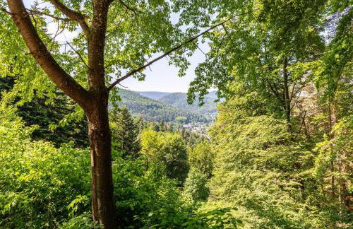 Schwalbenhof Dreßler und Duss für 2 Personen - Foto 12
