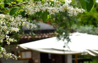 Colle Del Barbarossa - Foto 56