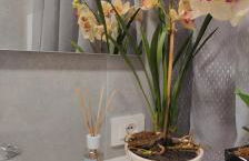 casa vacanza sussurro dei venti - Foto 6