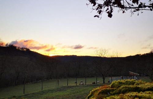 Canto perdigal - Foto 1