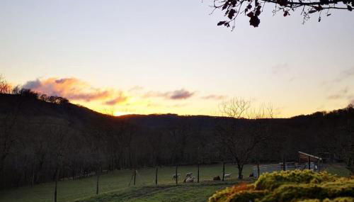 Canto perdigal - Foto 1