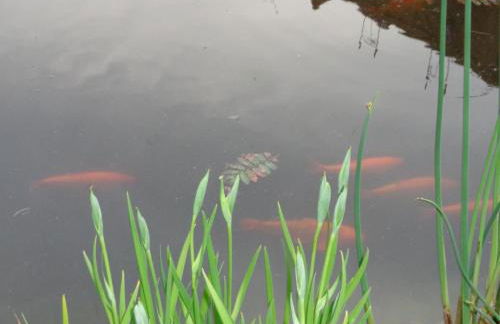 Ferienwohnung Tammen - Foto 18