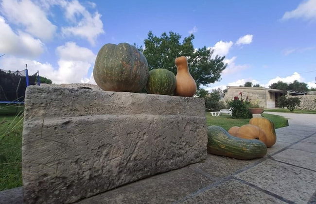 Masseria Costarella - Photo 71