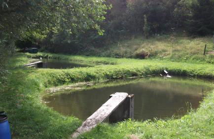 Gottschlich Apartment Schmallenberg - Foto 33