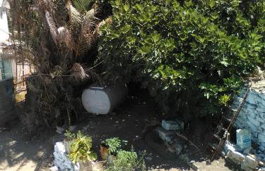 Nektaria on the Beach - Foto 36