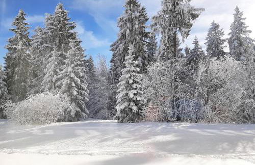 Ferienwohnung Waldblick Oberhof - Foto 14