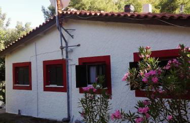 Dialiskari #2 - Foto 23