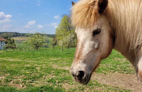Ruhig gelegene, top moderne Ferienwohnung - Hot Tub und Sauna gegen Aufpreis - Foto 26