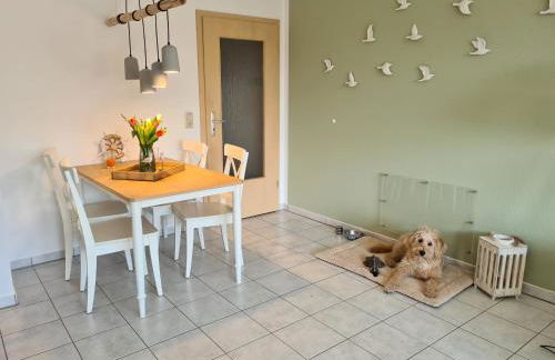 Watt will man Meer - Foto 6