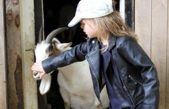 Bischofswerda Ferienwohnung Familienfreundlich Seniorengerecht - Foto 50