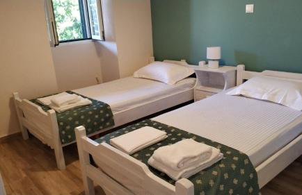 Traditional House - Photo 18