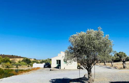 Casa na horta, planície alentejana - Foto 9