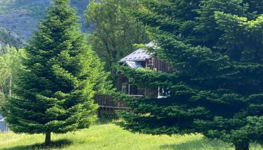 Chalets les tutes de la Vernière - Foto 4, Garden, Garden view