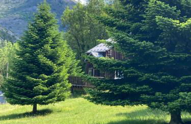 Chalets les tutes de la Vernière - Foto 4