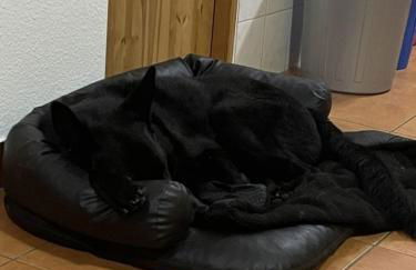 Strandperle 1 - Foto 20