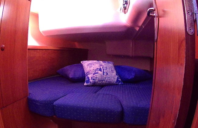 Scugnizza Napoli - Foto 3