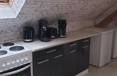 Vogelnest Riesa - Foto 7