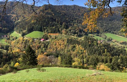 2 Zimmer Wohnung, mit Sonnenterasse - Foto 20