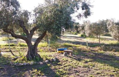 Lodge Rabasquinha - Foto 9