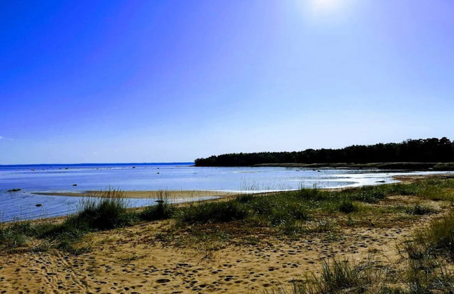 4 Star Holiday Home in Halmstad - Photo 49