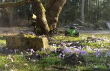 The Cottages - Pet Friendly - Photo 24