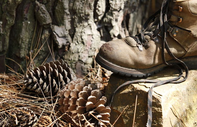 Holiday Home in Gelderland Near Nature Trails - Photo 13