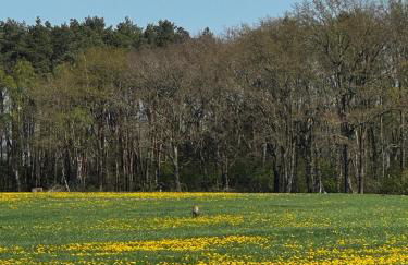 Das Blaue Haus - Foto 13