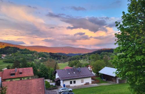 Bergzauber Bayerwald - voll ausgestattetes Familienapartment mit Pool - Foto 40