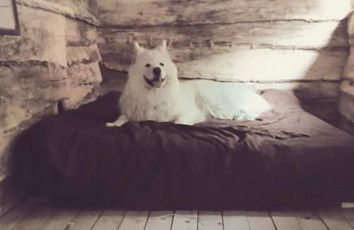 La Cabane Aux Loups - Foto 30