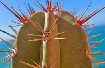 Ático dúplex - 1ª Linea playa - Photo 6