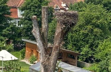 Luxuriöses Apartment im historischen Wangen - Foto 13