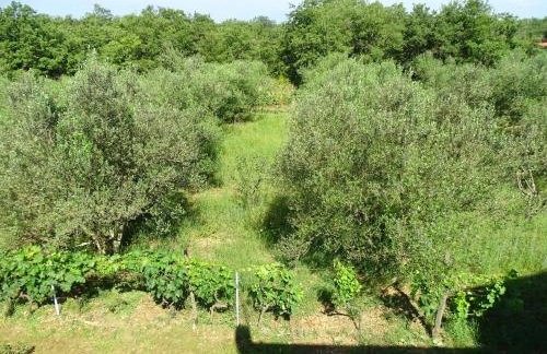 Vila s bazenom Anastazija - Foto 46