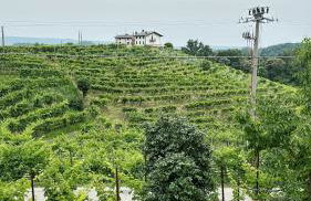 PARISI - Valdobbiadene - Foto 76