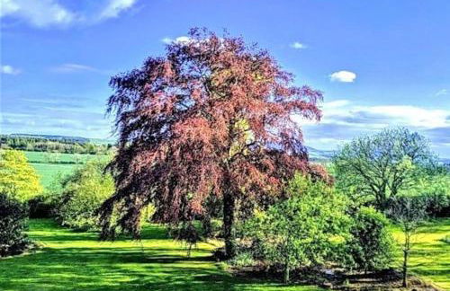 Stable Lodge - Foto 20