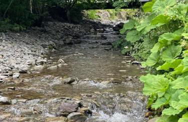 Hornshole Hideaway Caravan Hawick - Foto 29