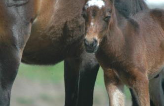 Casa do Mercador - Foto 17